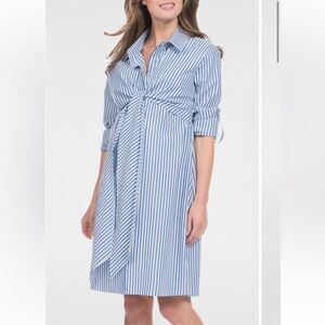Seraphine Stripe Maternity Nursing Dress